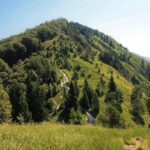 Kamniški vrh