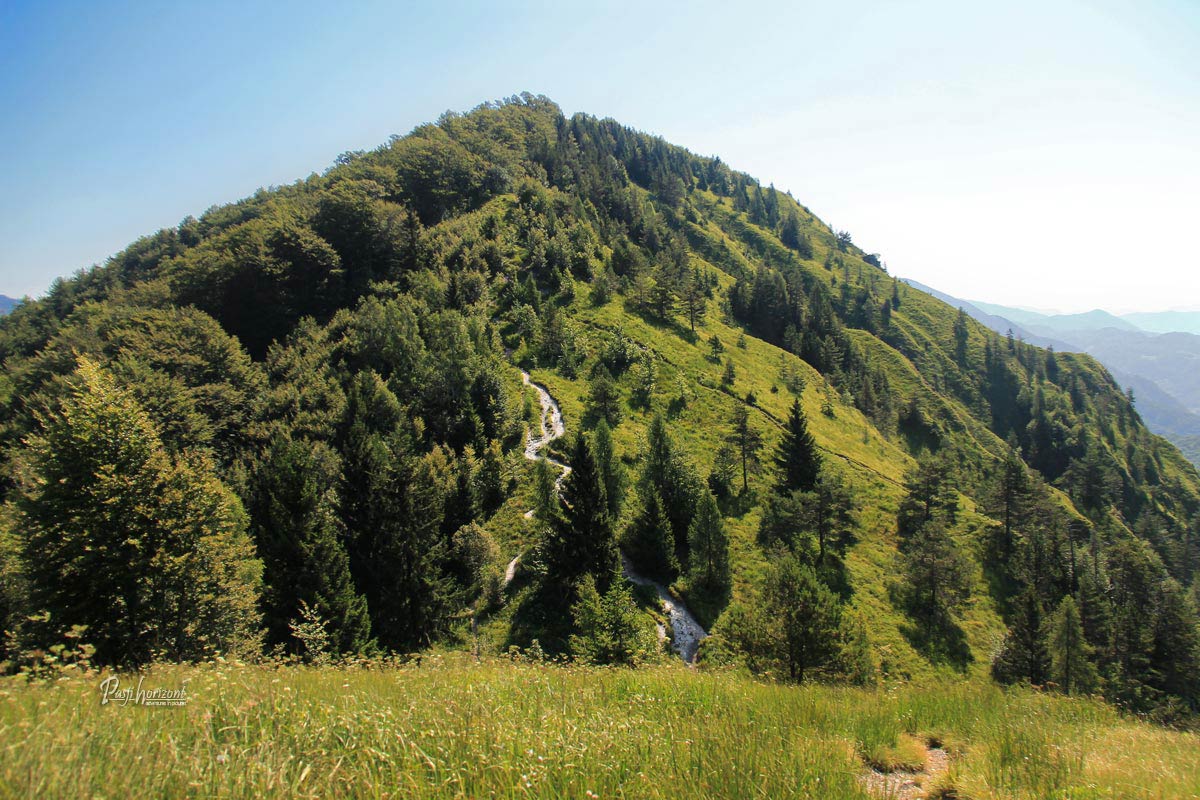 Kamniški vrh