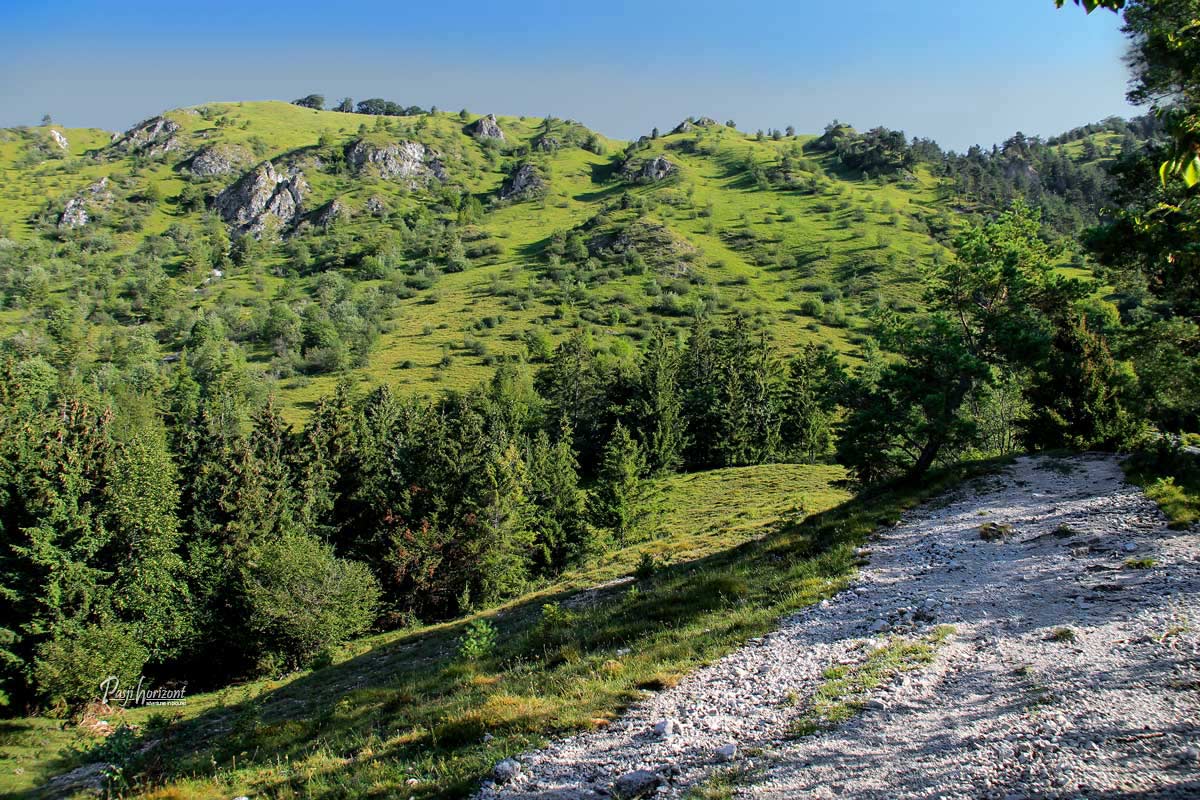 Makedamski del poti na Kamniški vrh