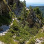 Melišče na poti čez hudourniško grapo