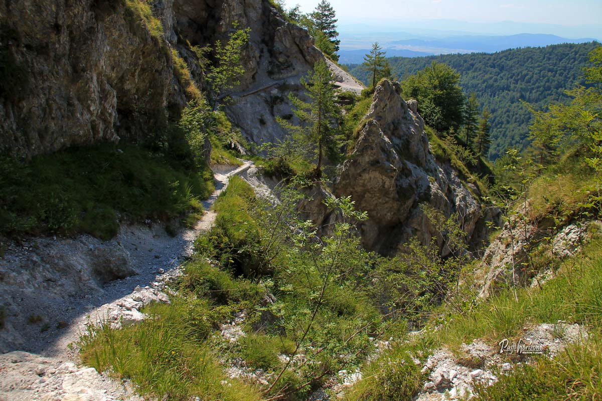 Melišče na poti čez hudourniško grapo