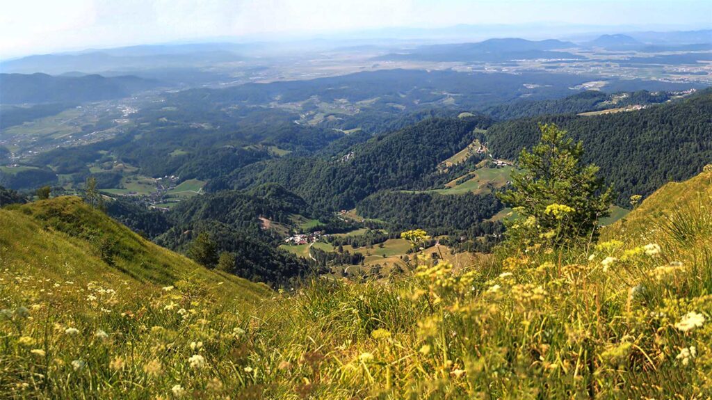 Razgled s Planjave pri Kamniškem vrhu