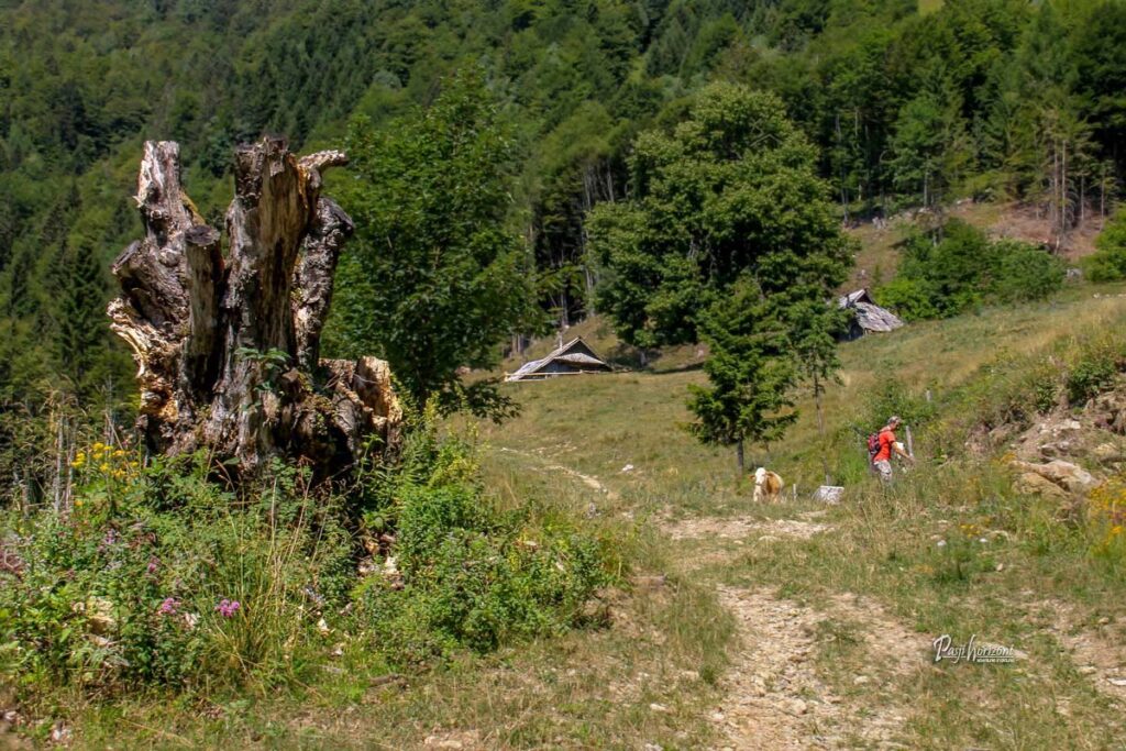 Planina Osredek