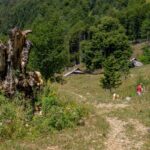 Planina Osredek