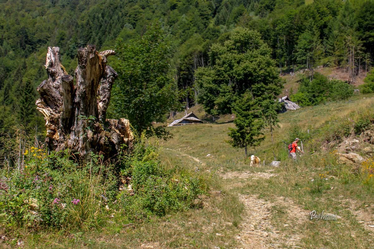 Planina Osredek