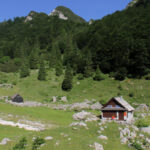 Planina Suha na poti na Rodico
