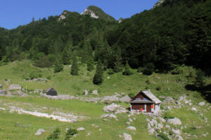 Planina Suha na poti na Rodico