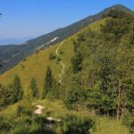 Planjava pri Kamniškem vrhu