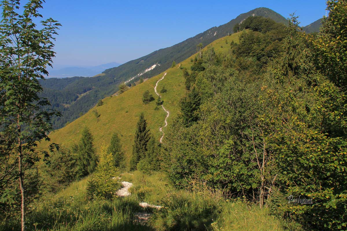 Planjava pri Kamniškem vrhu