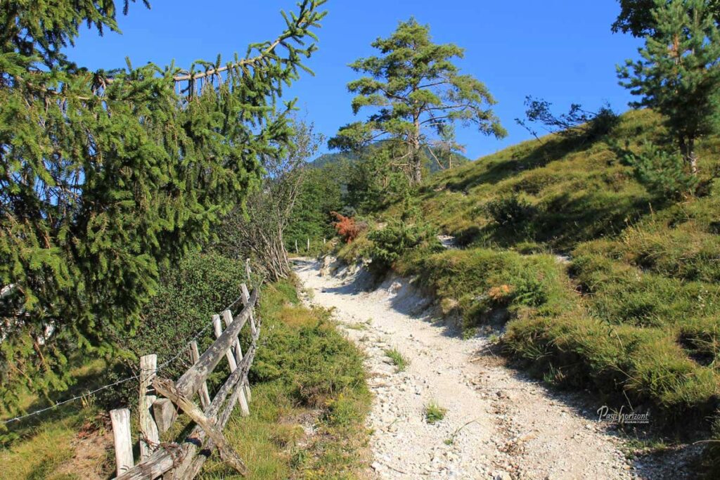 Planinska pot na Kamniški vrh