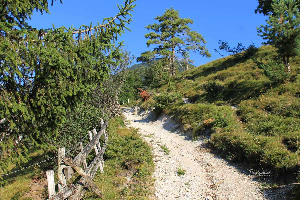 Planinska pot na Kamniški vrh
