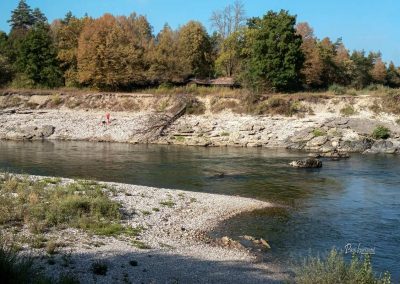 Ko pretok Save upade, prodnate plaže privabijo kopalce