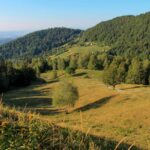 Pašniki na Ravnih senožetih pod Kamniškim vrhom