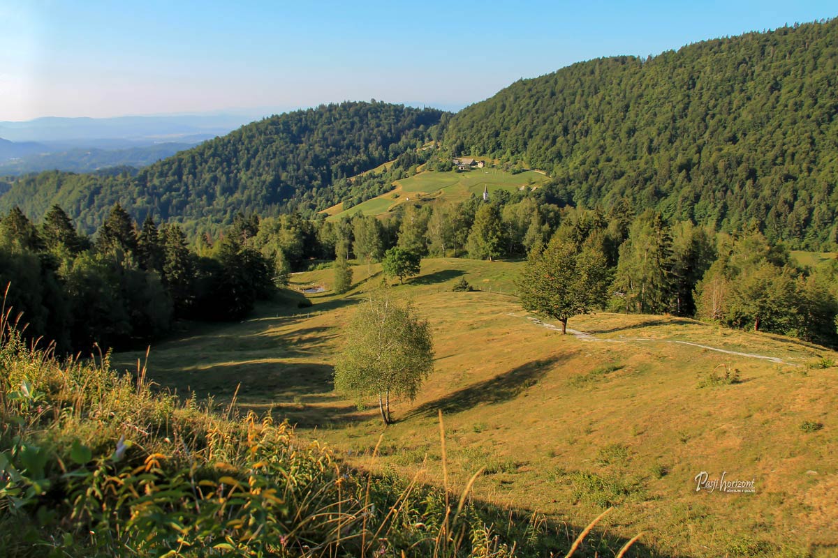 Pašniki na Ravnih senožetih pod Kamniškim vrhom