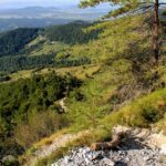 Razgled v dolino s poti na Kamniški vrh