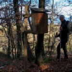Pohodnik na poti proti Ojstri peči nad Radovljico