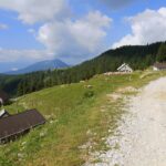 Krave in planinske koče na Planini Šija