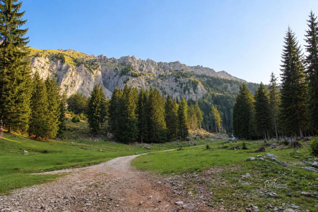 Planina Spodnja Dolga njiva pod grebenom Košute