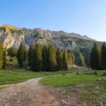 Planina Spodnja Dolga njiva pod grebenom Košute