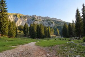 Planina Spodnja Dolga njiva pod grebenom Košute