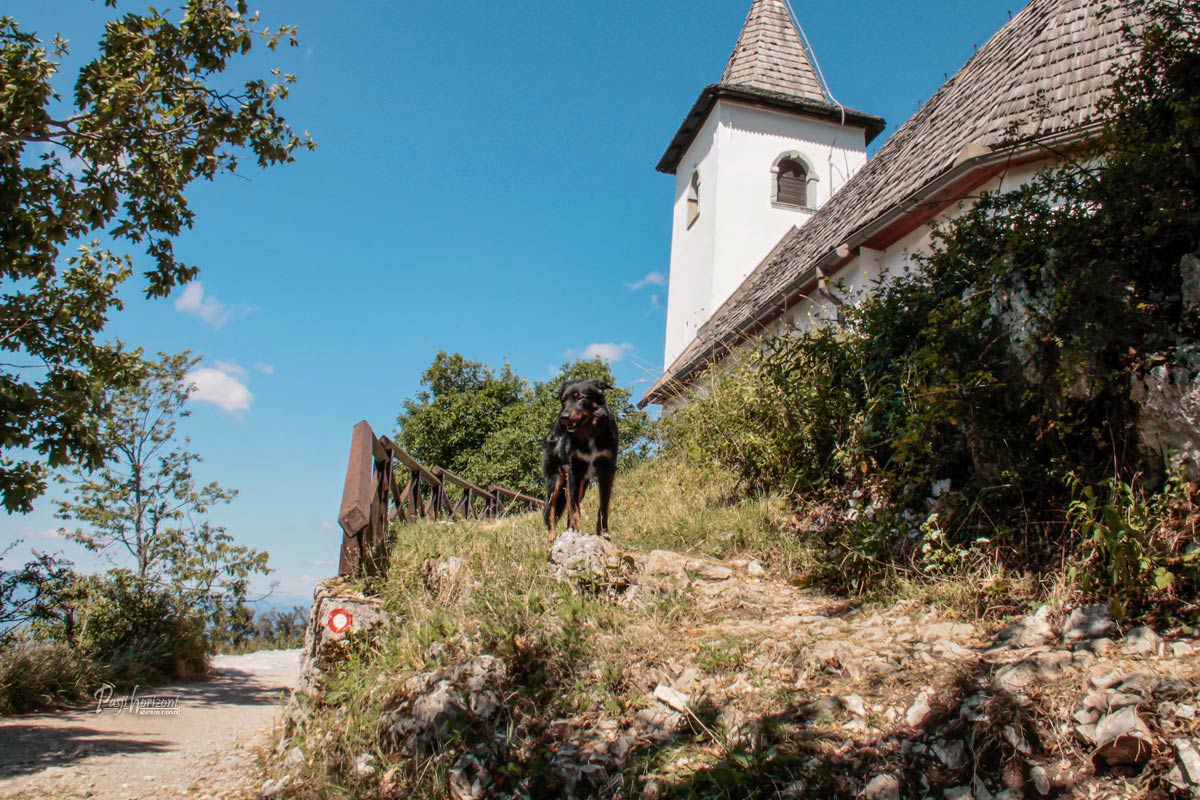 Cerkev sv. Jakoba nad Preddvorom in pes na poti ob cerkvi