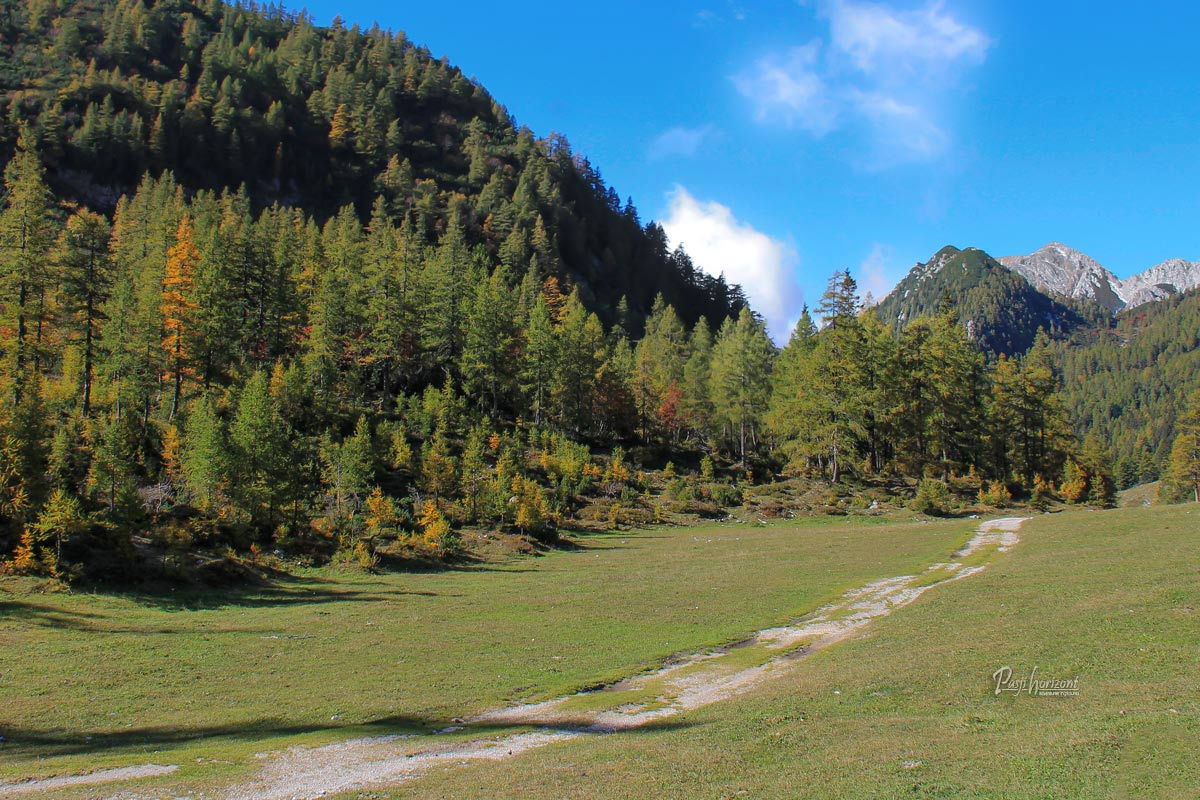 Travnat svet doline Završnice z macesni in gorskimi vrhovi v ozadju