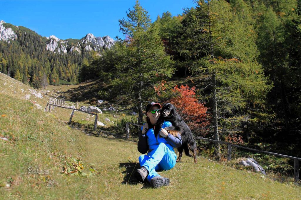 Pohodnica s psom med jesenskimi macesni na poti do izvira Završnice