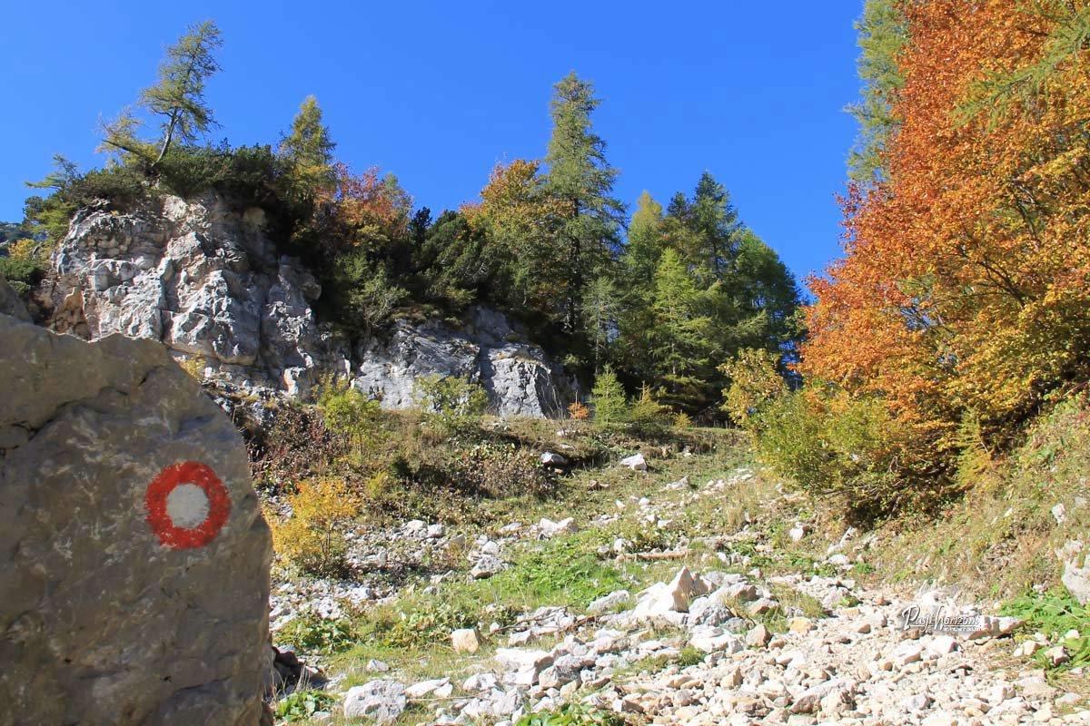 Rdeče-bela planinska markacija ob poti med skalami in jesenskim drevjem