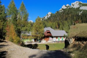Planinski dom na Zelenici med travniki in jesensko obarvanimi macesni