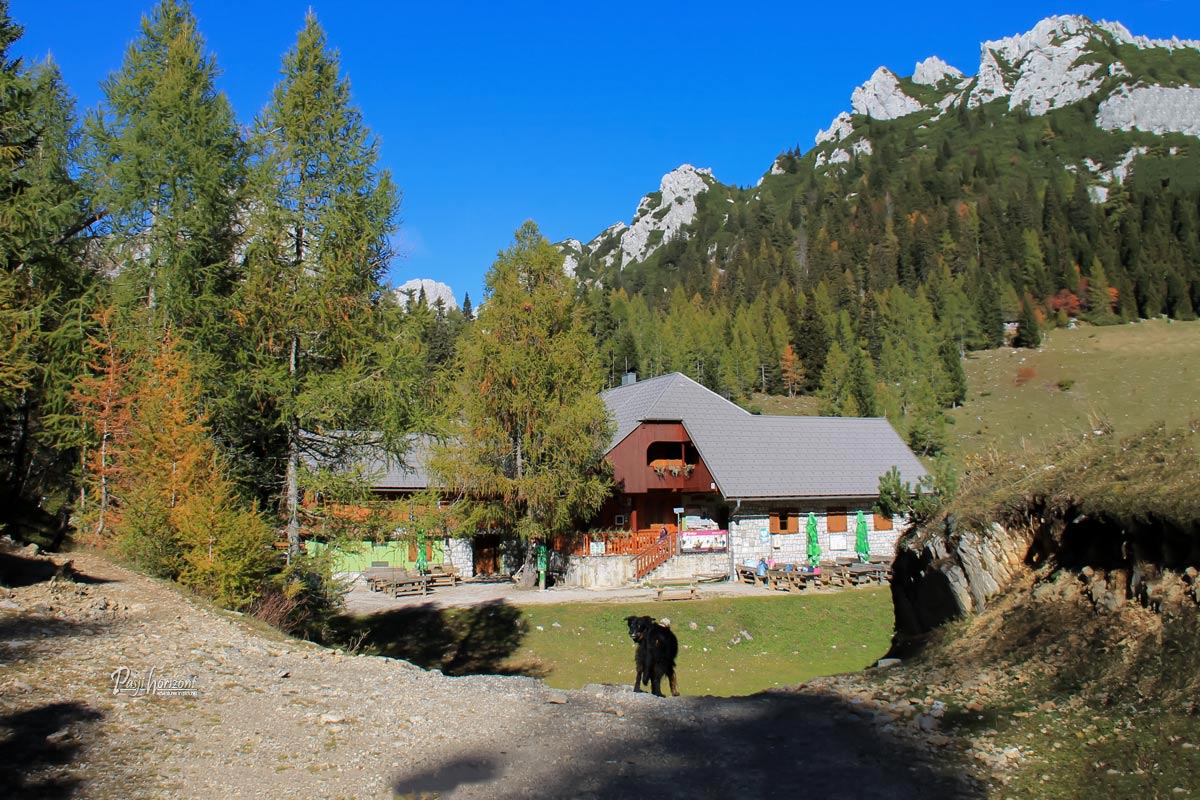 Planinski dom na Zelenici med travniki in jesensko obarvanimi macesni