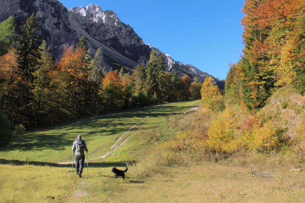 Pohodnica in pes na travnati poti pod skalnatimi vrhovi Karavank