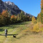 Pohodnica in pes na travnati poti pod skalnatimi vrhovi Karavank