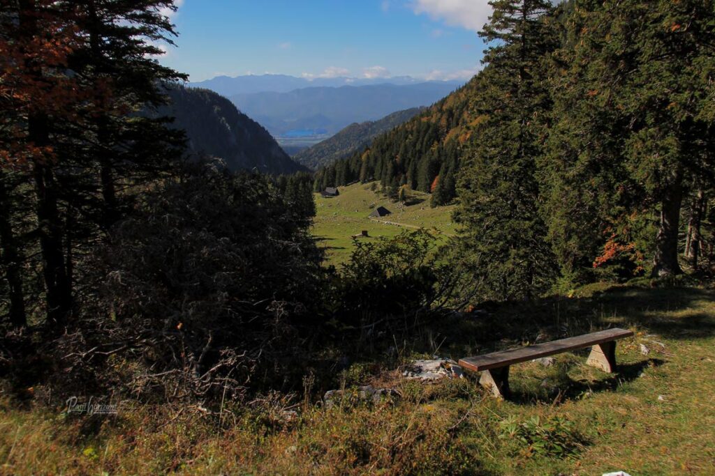 Pogled z gozdne poti čez dolino Završnice proti Blejskemu jezeru v daljavi