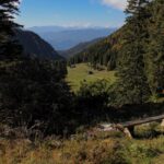 Pogled z gozdne poti čez dolino Završnice proti Blejskemu jezeru v daljavi