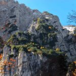 Skalnate stene Begunjščice nad jesensko obarvanimi macesni